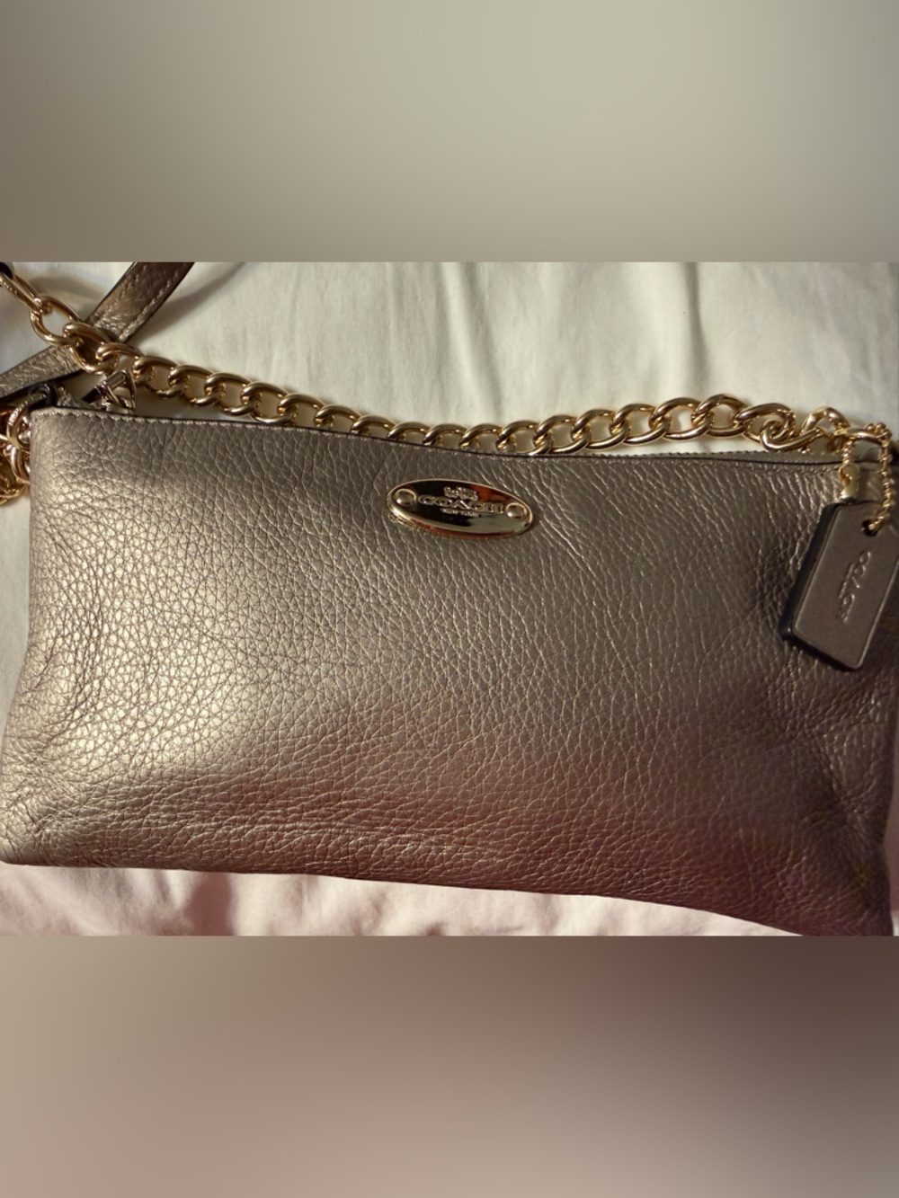 Coach Metallic Quinn Leather Crossbody